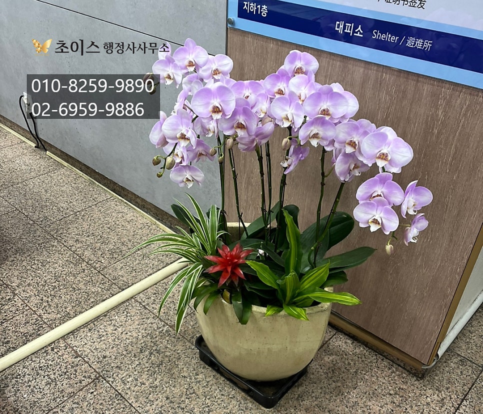 F5비자 한국 영주권 조건 3