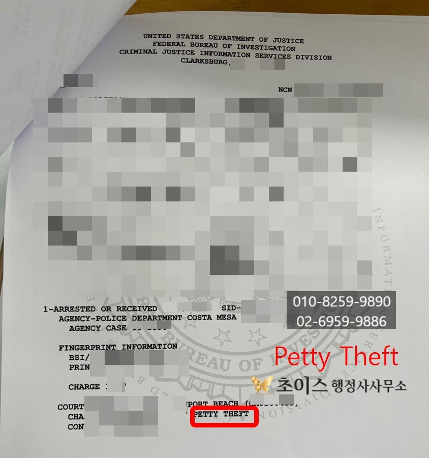 F4비자 미국 범죄기록 거소증 발급 사례 5