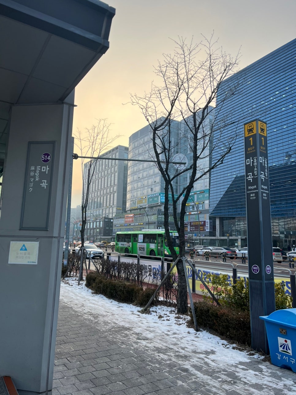 C3-8 F4비자 변경 동포입증 사례 2