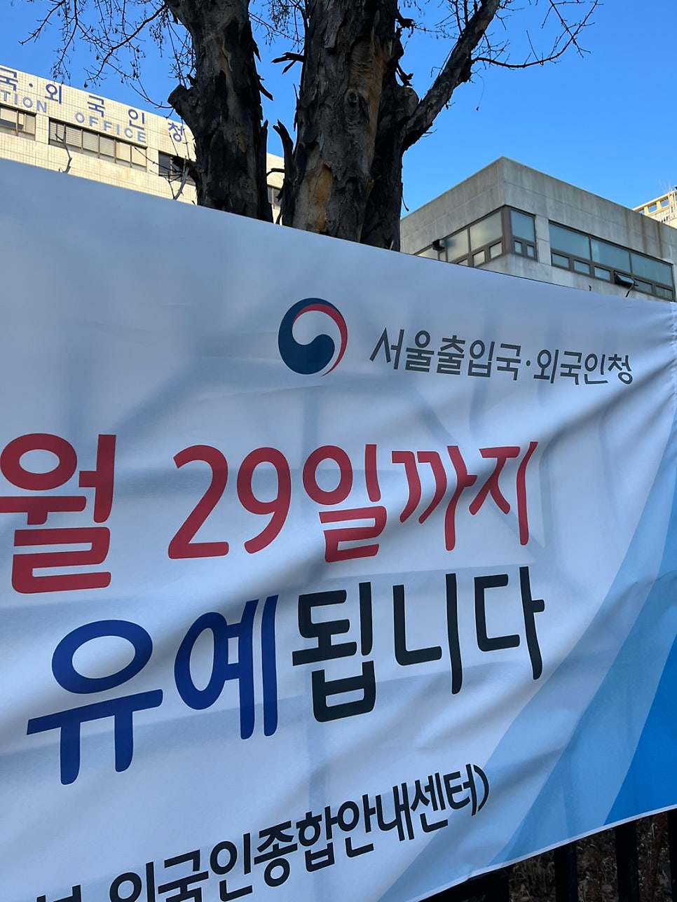 F4비자 취업범위 거소증 발급 사례 8