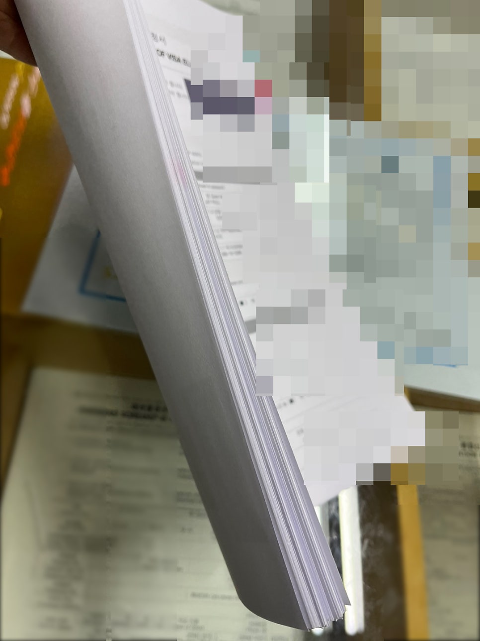 E7 기업고위임원 외국인 대표 발급 사례 3