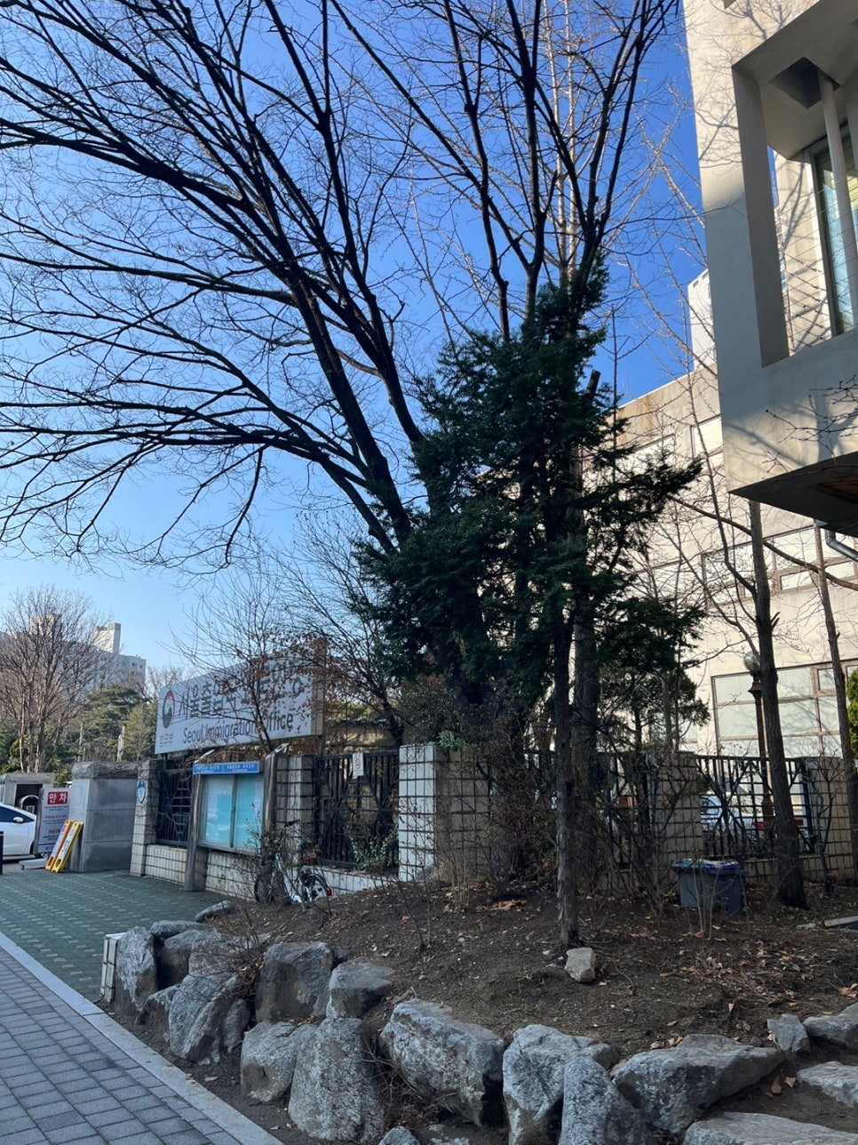 프랑스 교포 국적회복 후기 2