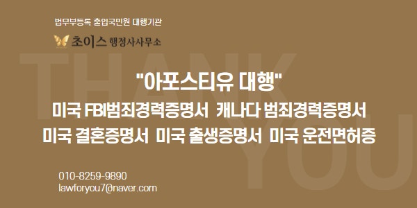 미국 결혼·출생증명서 아포스티유 사례 10