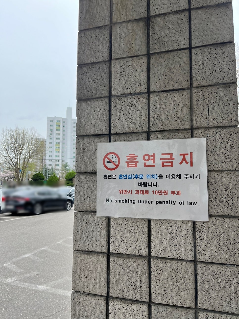 D10 E6비자 자격변경 일본인 배우 사례 3