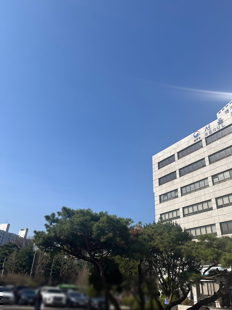 E6 D10 구직비자 변경 일본 사례 3
