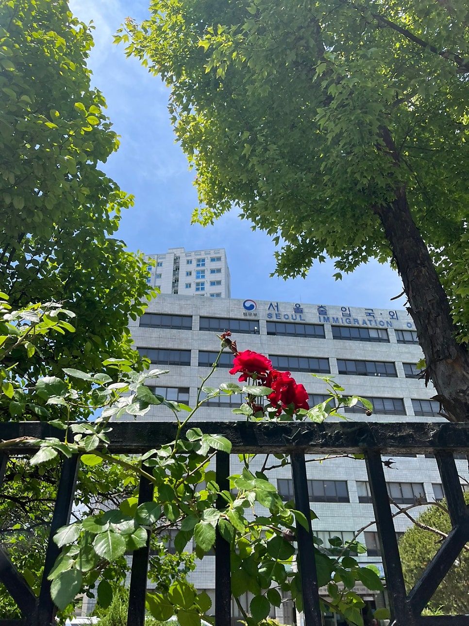 거소증 신청 방법 영사관 F4 사례 2
