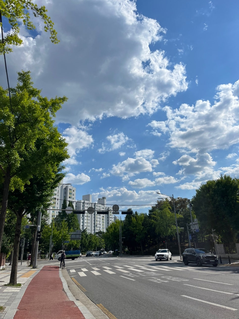 국적상실신고 거소증 신청 사례 2
