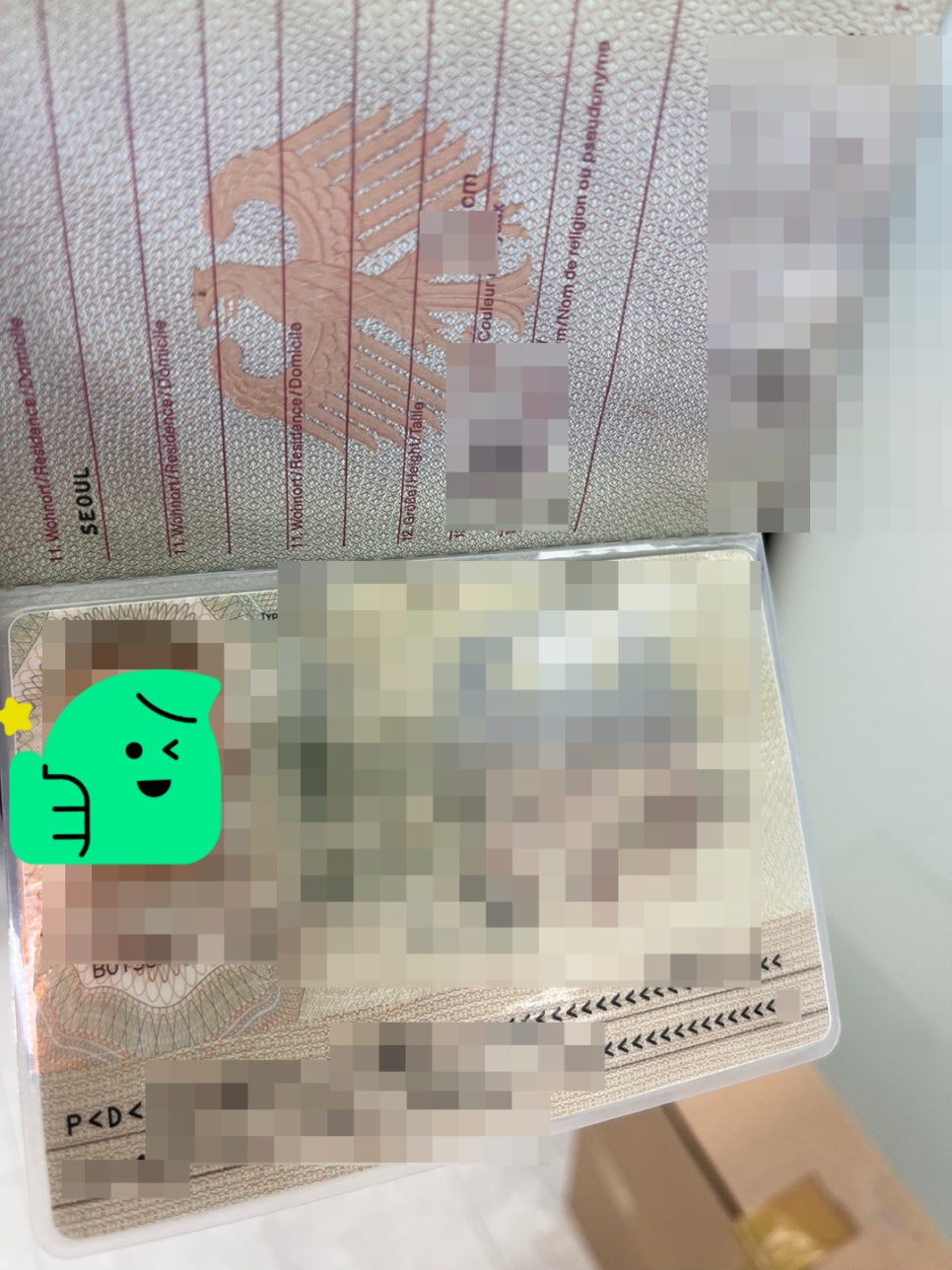 F6 결혼비자 혼인단절 연장 사례 5