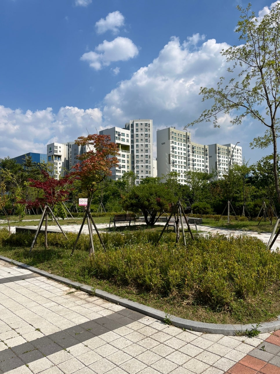 F6 결혼비자 혼인단절 연장 사례 6