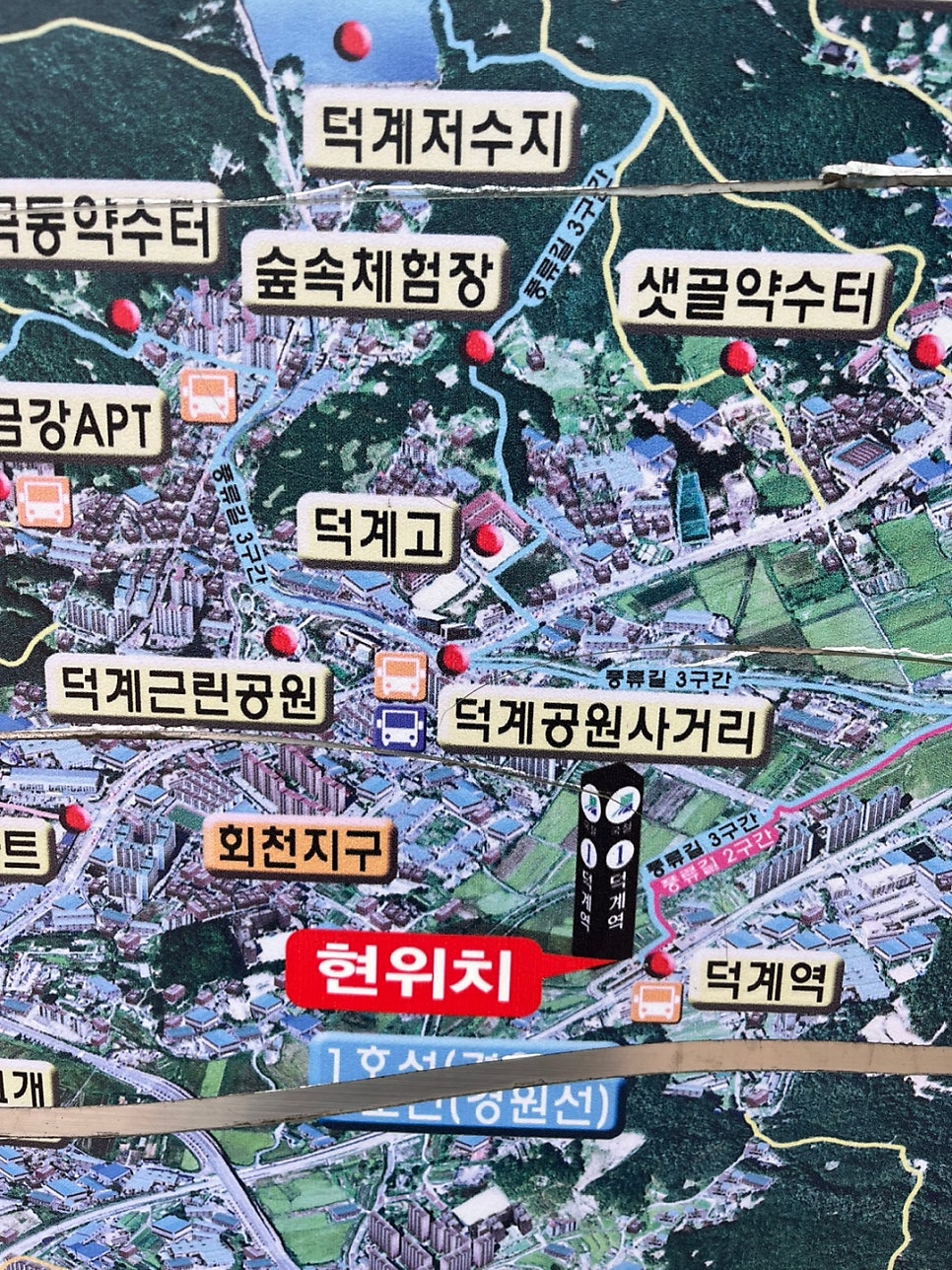 국적회복 기간 출국 여부 사례 3