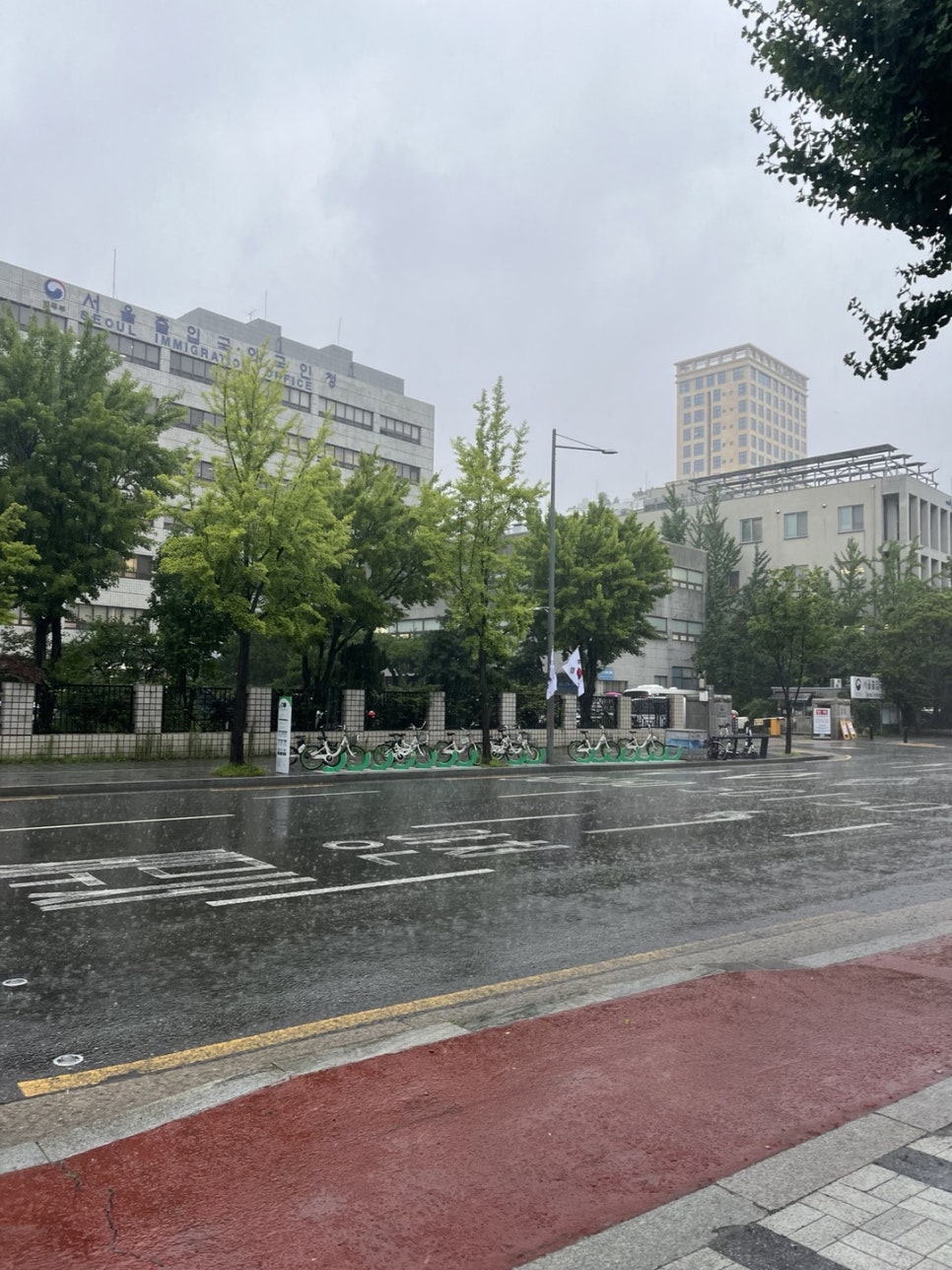 국적상실신고 F4 거소증 하루 접수 사례 2