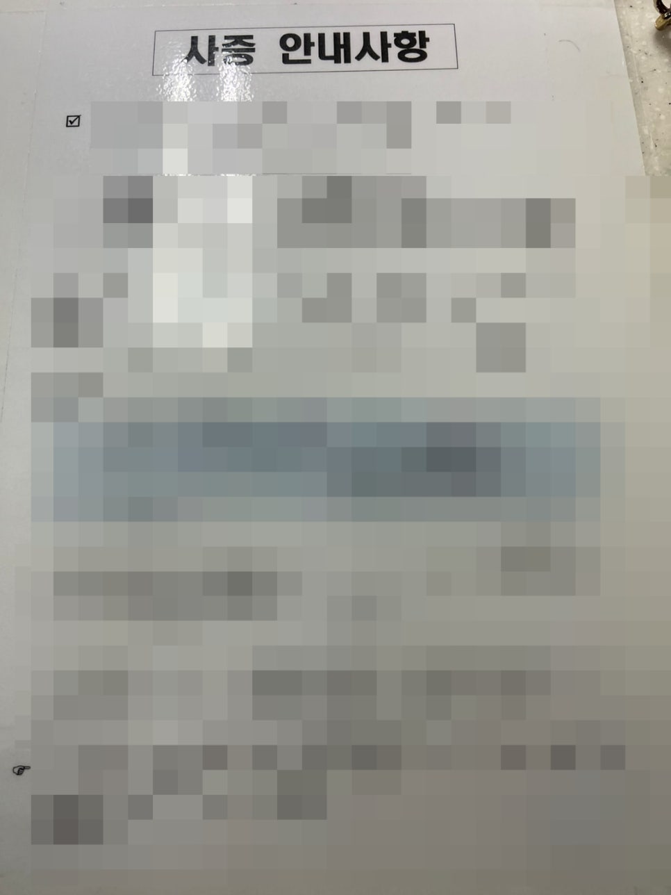 일본인 배우 E6비자 신청 사례 8