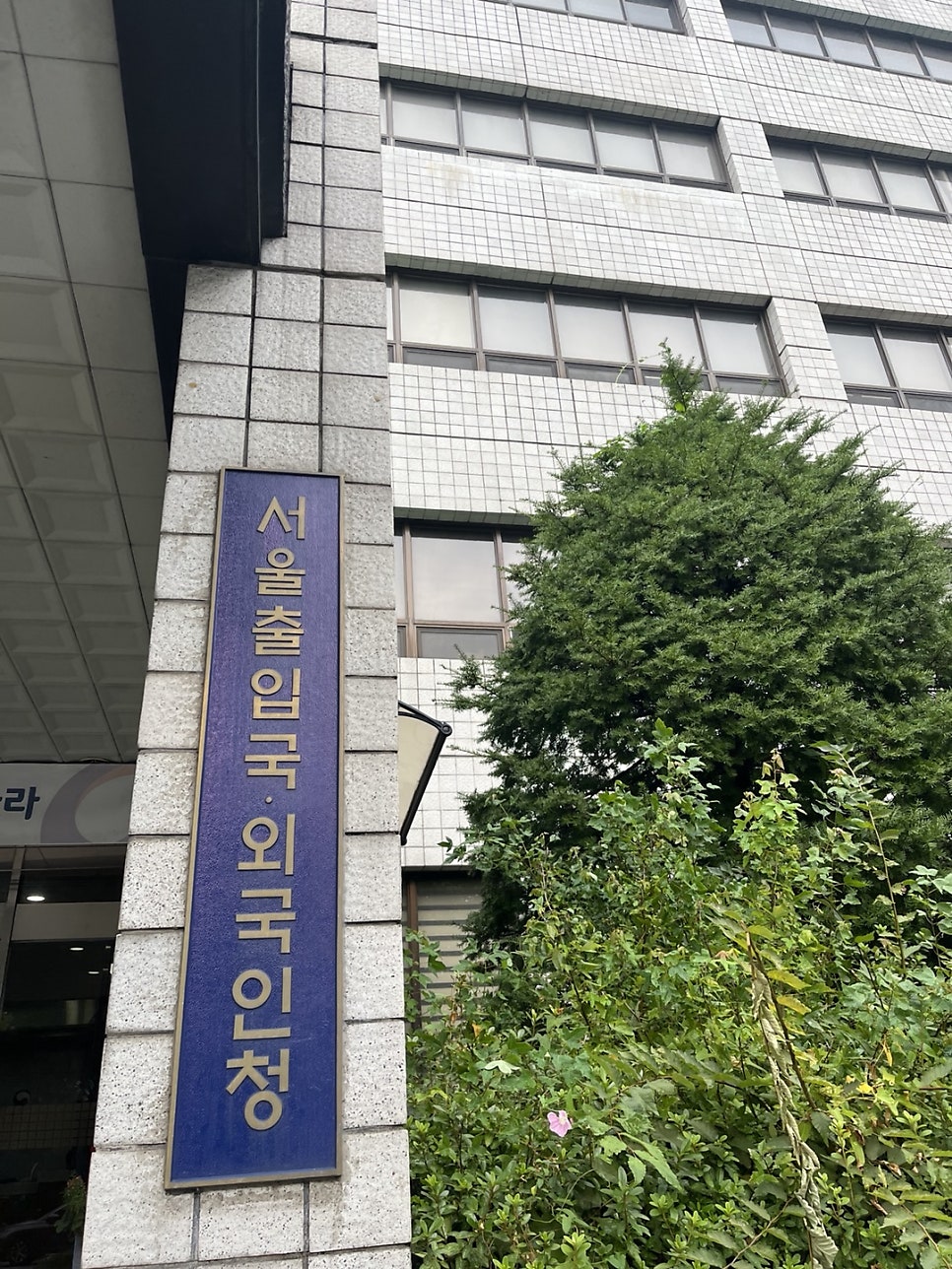 E6 E7 변경 이라크 사례 3