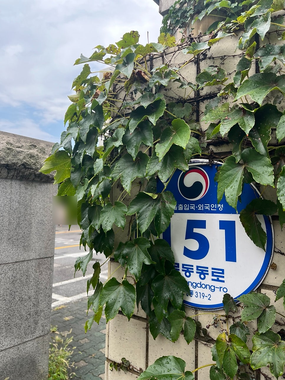 E6 E7 변경 이라크 사례 4