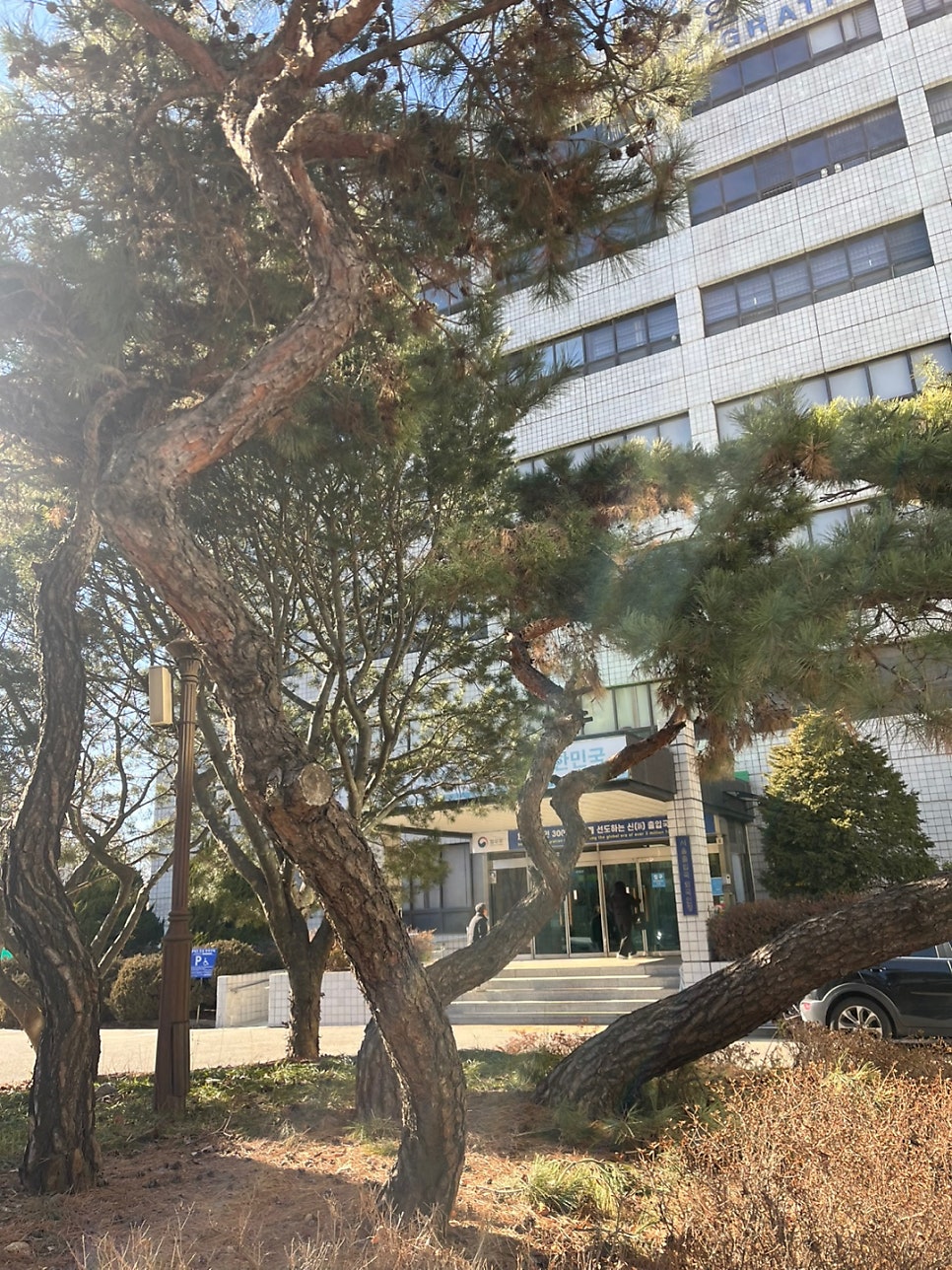 국적회복 조건 만 65세 사례 4
