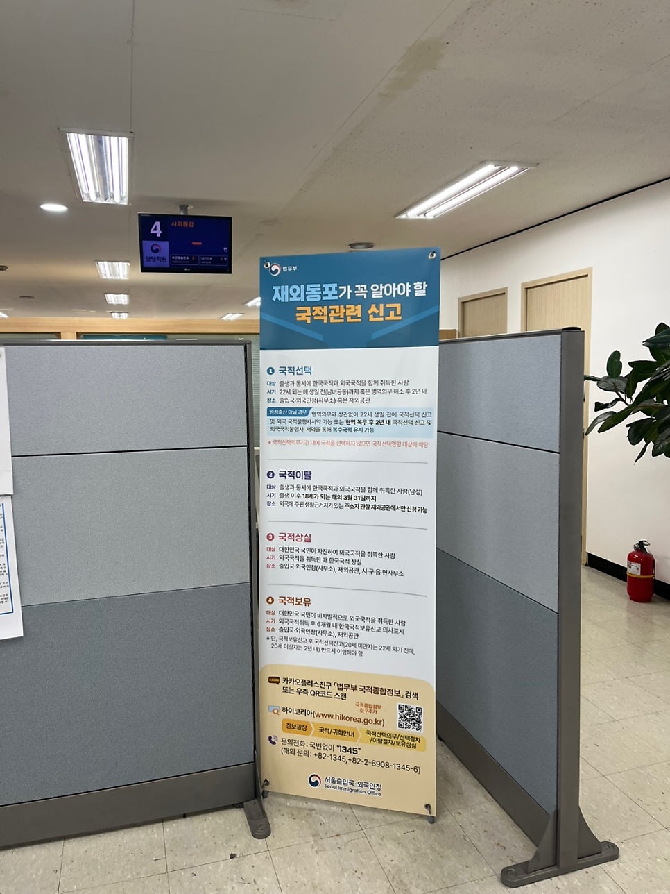 국적회복 조건 만 65세 사례 8