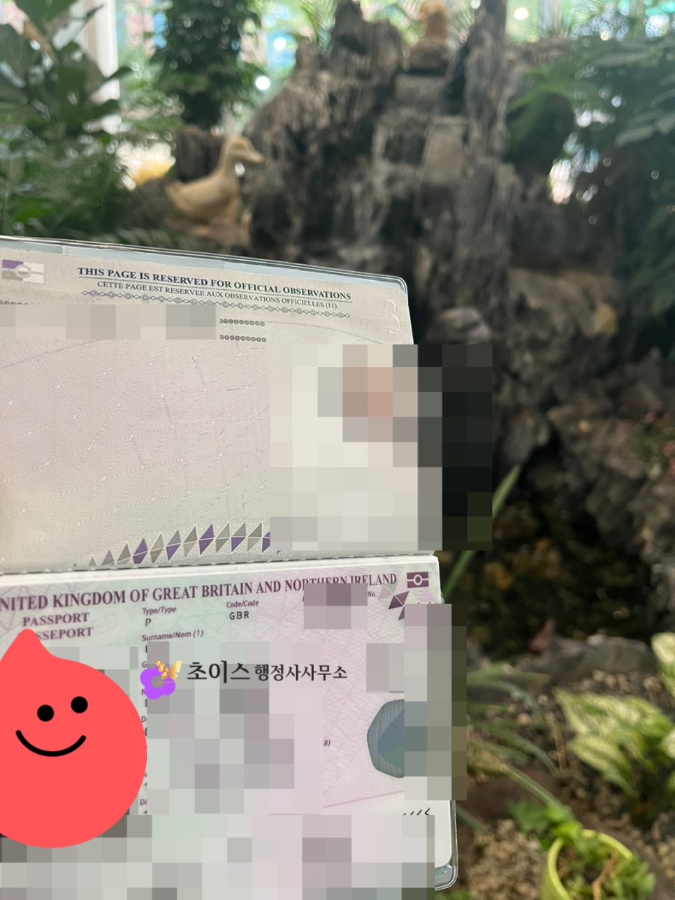 한국여권 부정사용 벌금면제 방법 5