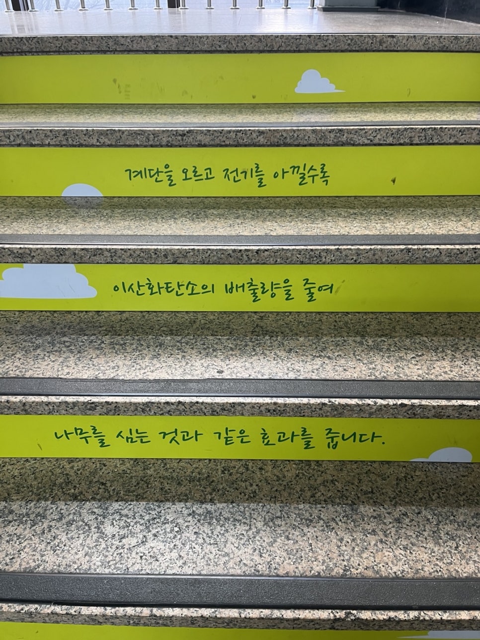 뉴질랜드 교포 F4 F5 영주권 접수 사례 6