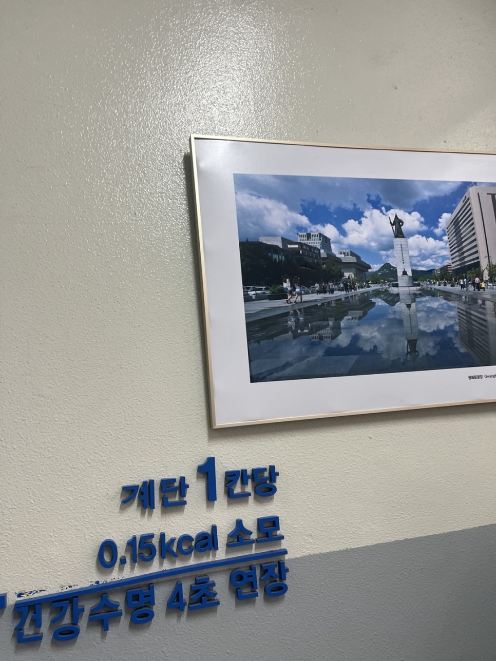 E6 F4비자 변경 외국인 배우 사례 4