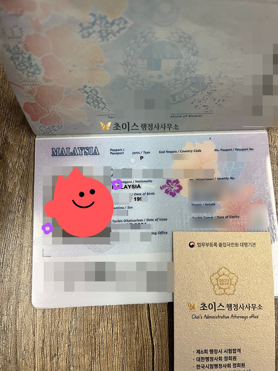 말레이시아 모델 E6비자 연장 사례 5