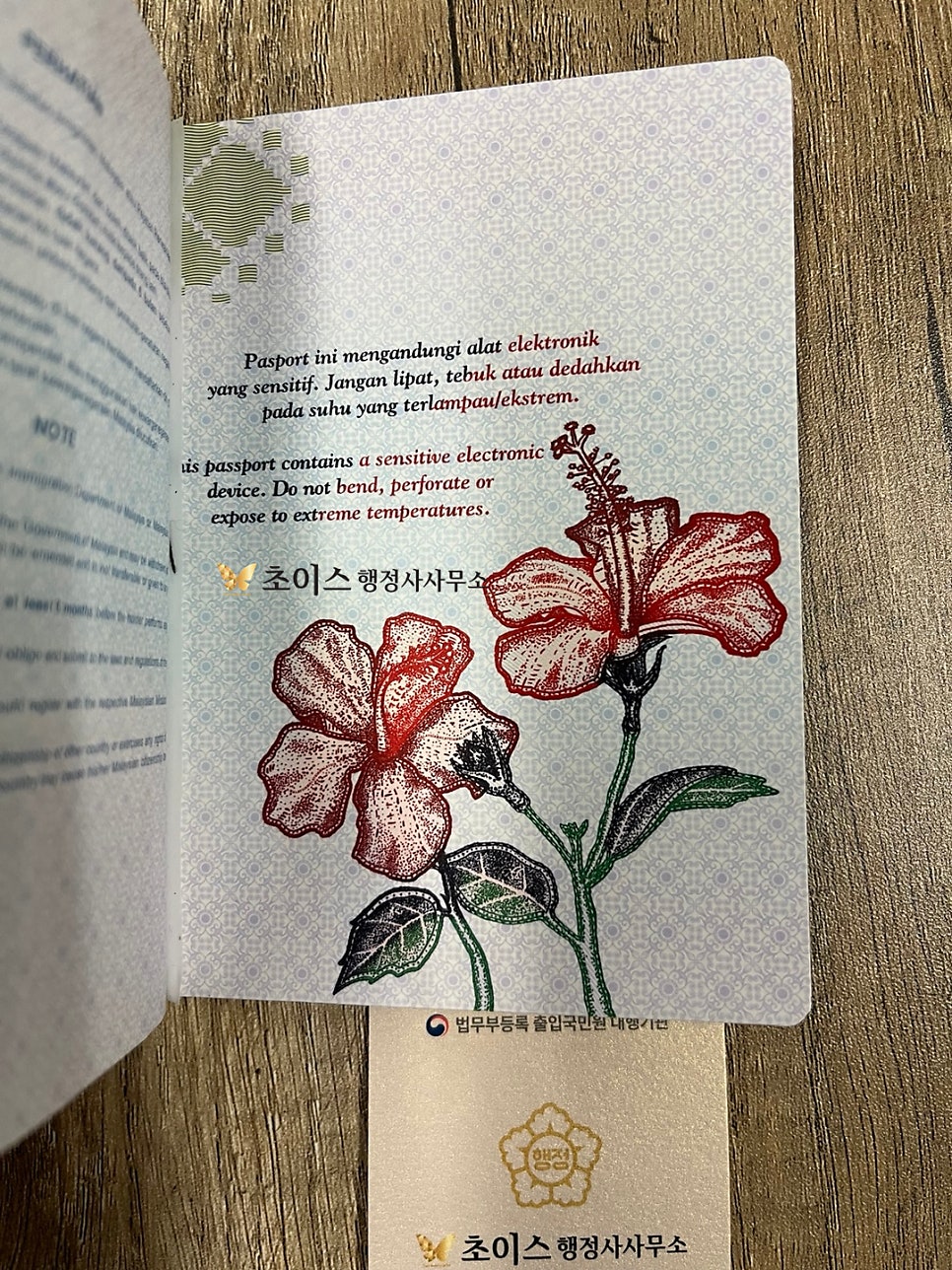 말레이시아 모델 E6비자 연장 사례 9