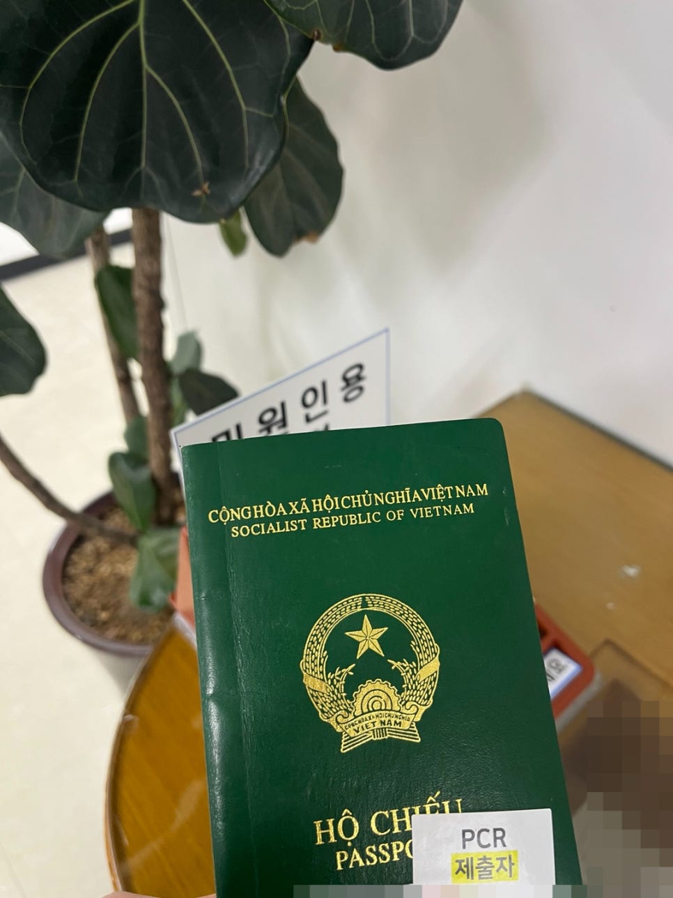 유학생 D10 구직비자 변경 사례 2