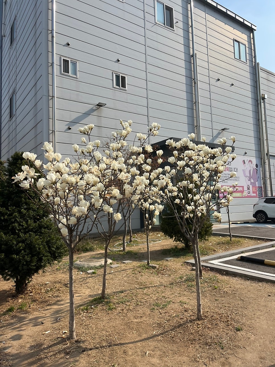 국적회복 심사기간 총정리 3