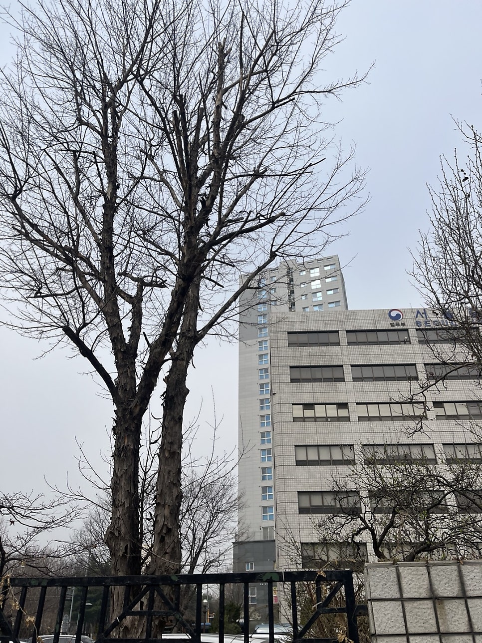 외국인 주방장 E7비자 연장 사례 2