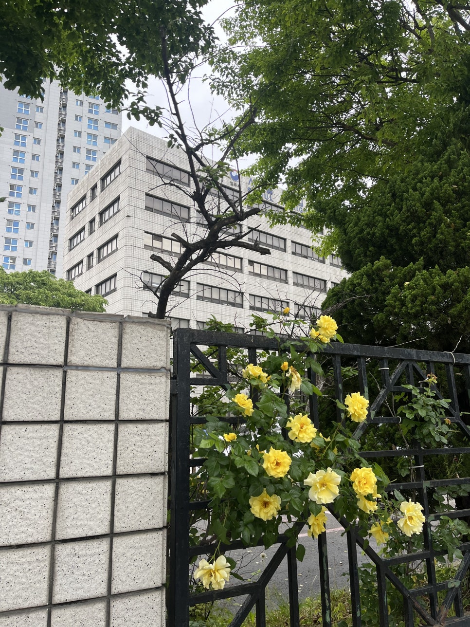 베트남 거래처 직원 C3비자 초청 사례 6