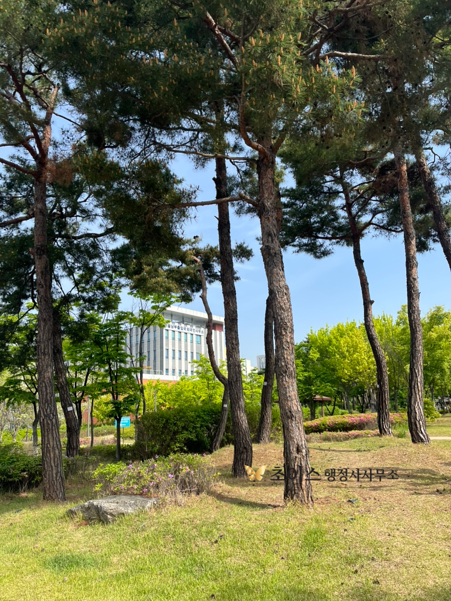 여권부정사용 벌금면제 국적상실신고 사례 1