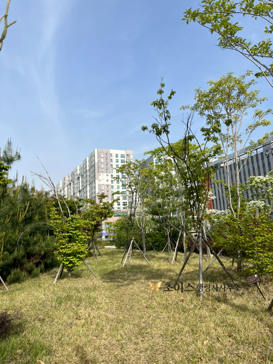 여권부정사용 벌금면제 국적상실신고 사례 2