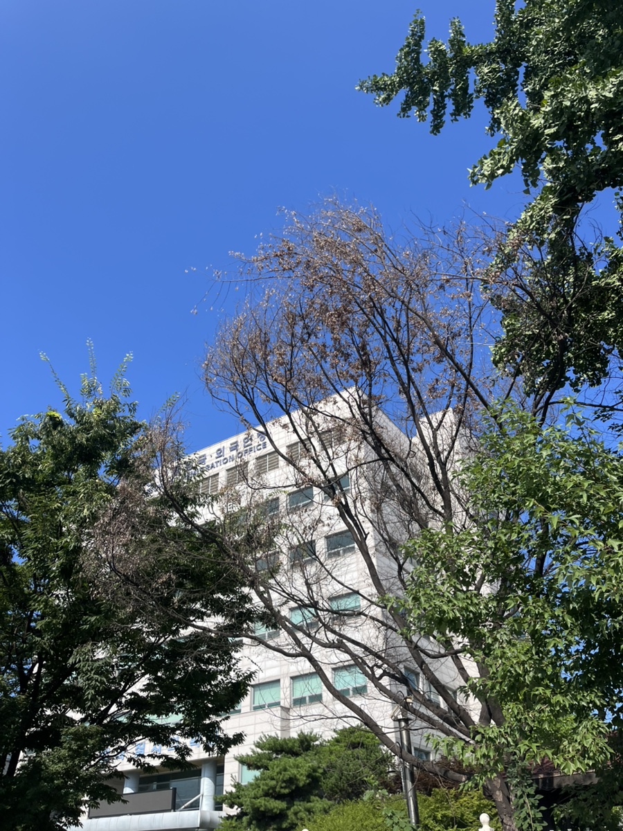 간이귀화 영주권자 신청 사례 3