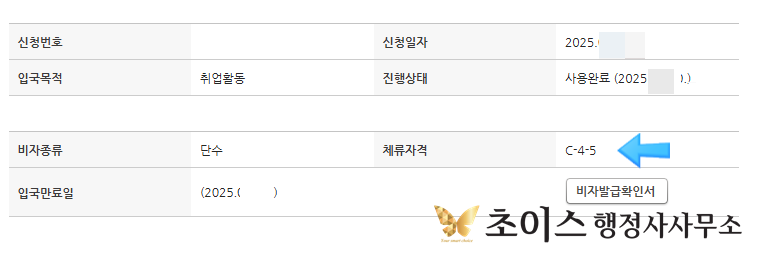 외국인 백댄서 C4비자 공연 초청 사례 9