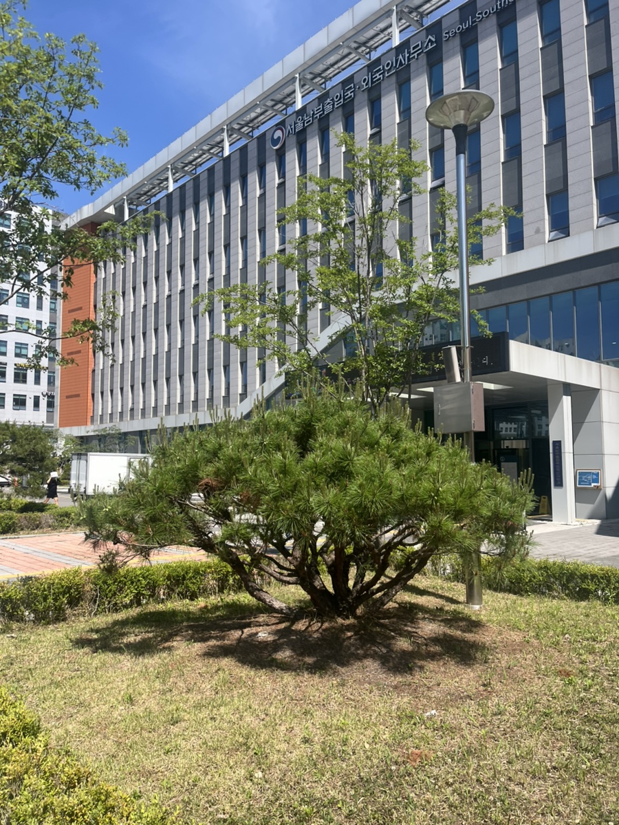 중국인 가수 E6비자 연장 사례 1